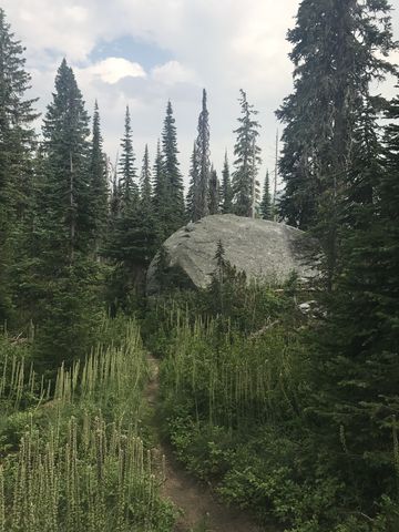 Giant boulders higher up