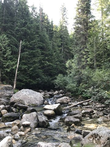 Long Canyon Creek