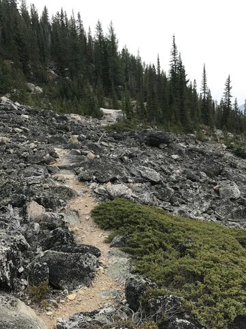 Trail #221 crossing the boulder field below Parker Peak