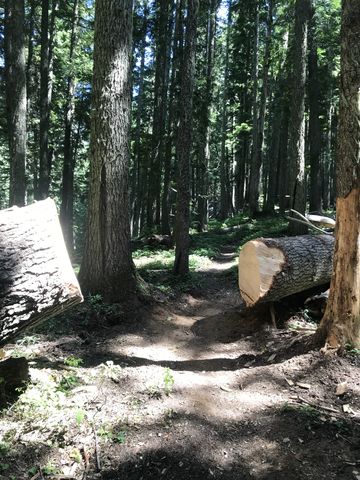 The wilderness is non-motorized. No chainsaws. Crosscut saws and elbow grease